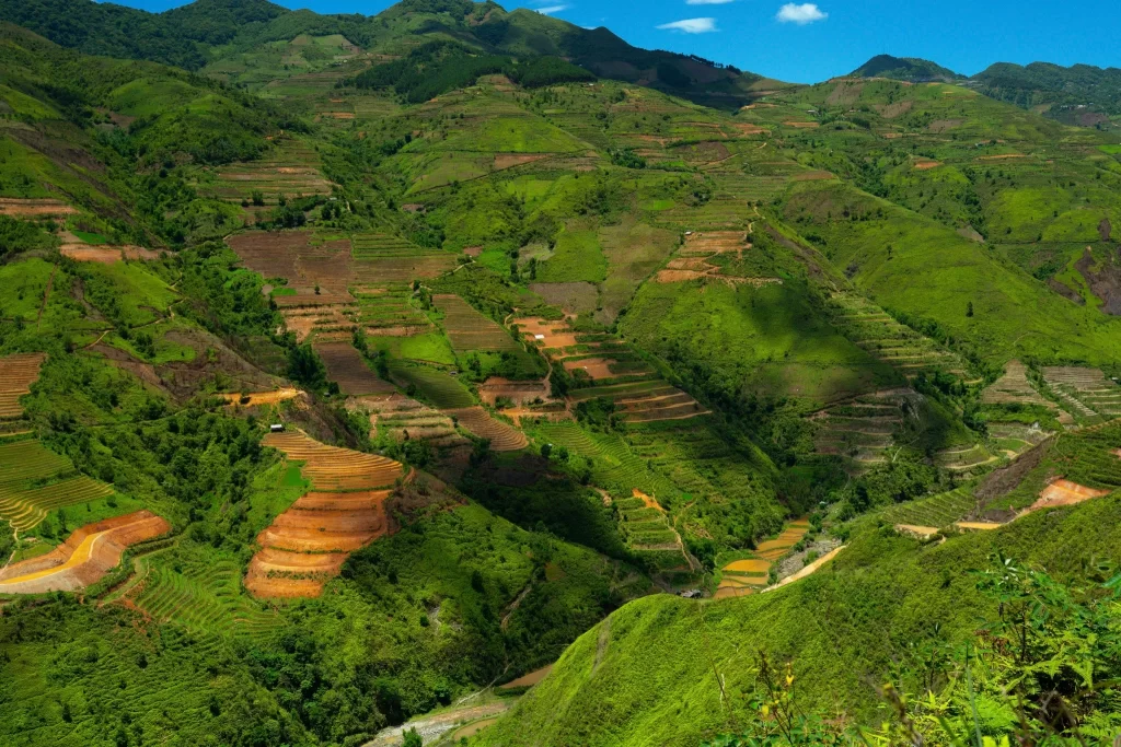 Rice terraces in Ta Xua